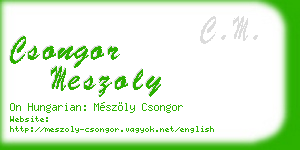 csongor meszoly business card