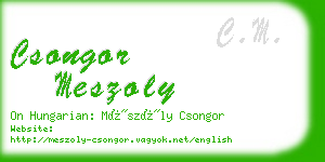 csongor meszoly business card